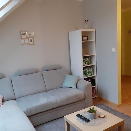Apartament Kaktus Mrągowo Exterior foto